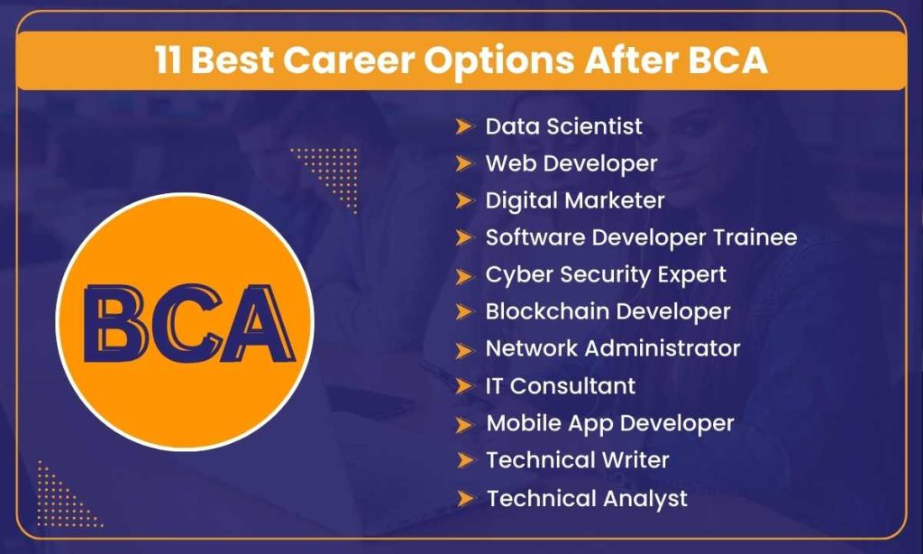 BCA Career Options
