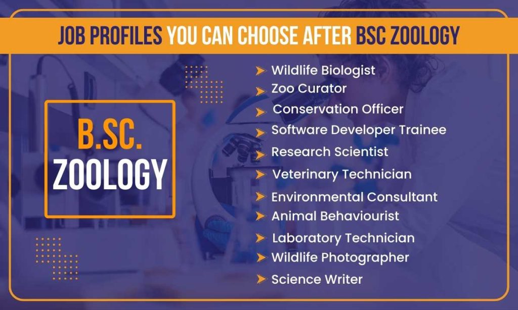 bsc zoology career options